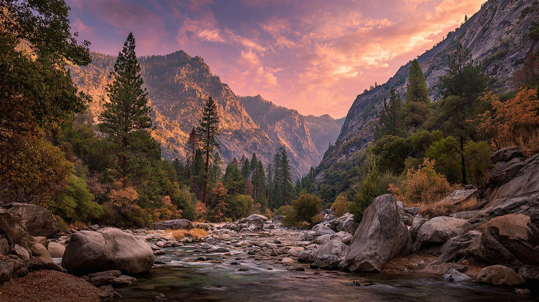 Bringing the Outdoors In: How to Curate a Nature-Inspired Gallery Wall