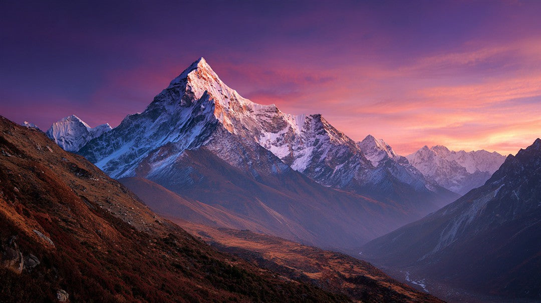 How Nature Photography Transforms a Room’s Energy