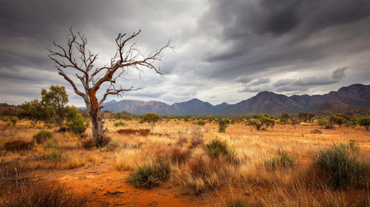 Top 10 Australian Landscapes to Hang on Your Wall