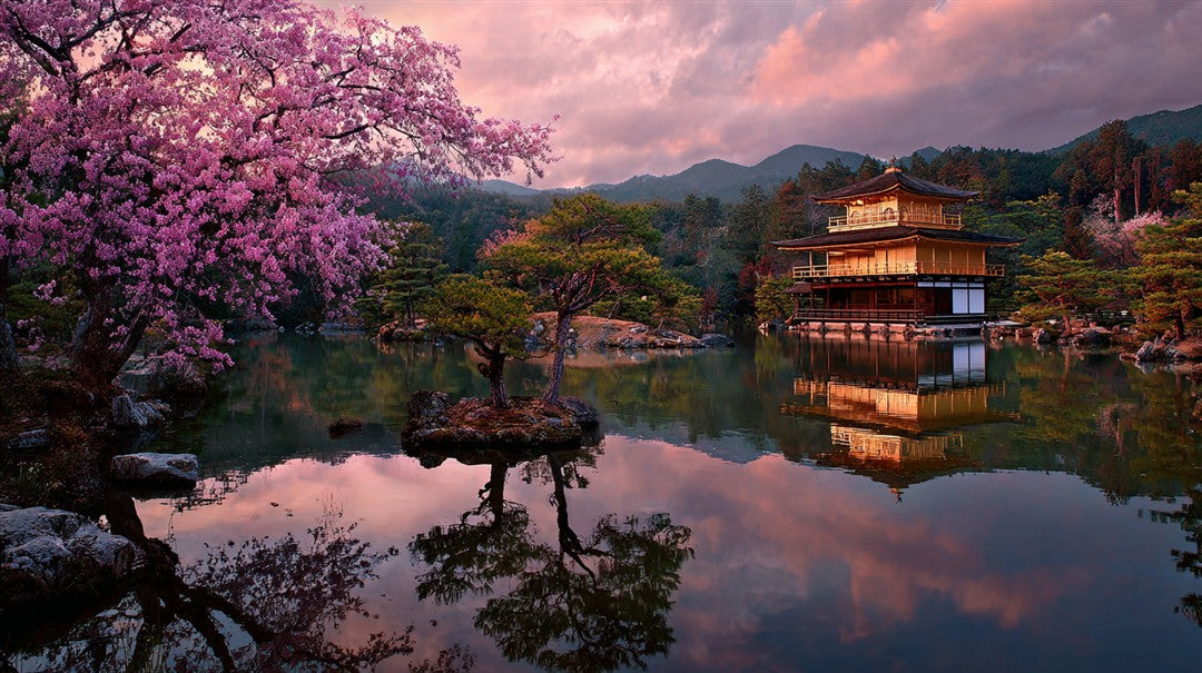 Landscape vs. Aerial Photography: How Each Style Changes a Room