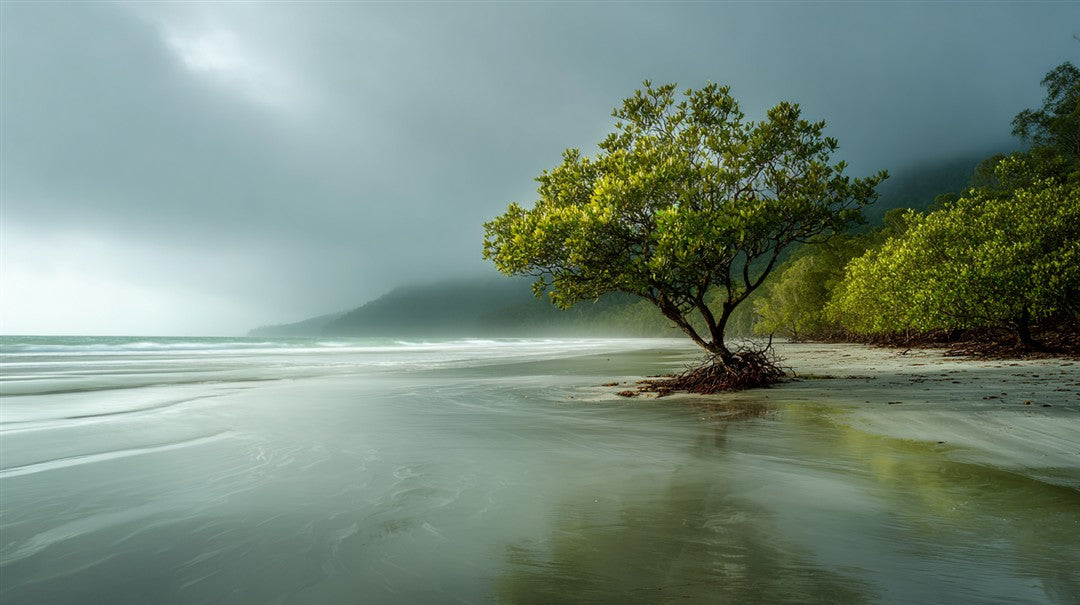 Welcome to PixFlora.com Photography Art Store