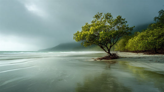 Welcome to PixFlora.com Photography Art Store